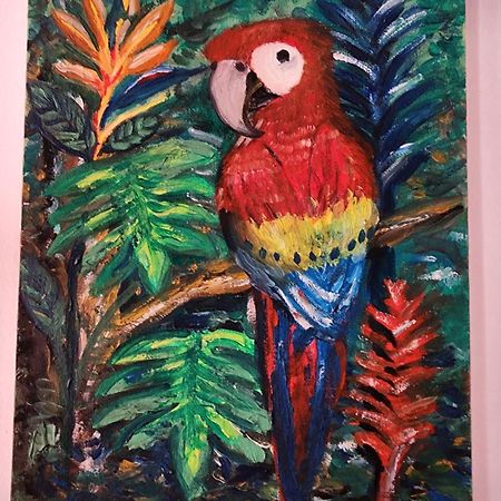 Poetry Garden Bocas Town Colon Island别墅 外观 照片