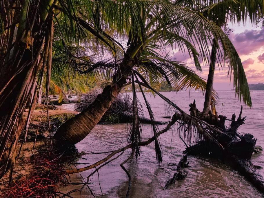 Poetry Garden Bocas Town Colon Island别墅 外观 照片
